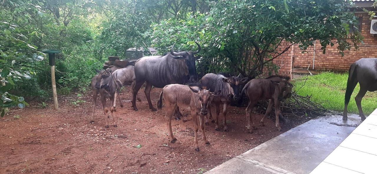 Nature Cottage Marloth Park Exterior foto