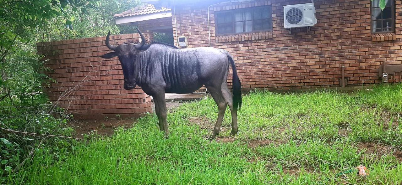 Nature Cottage Marloth Park Exterior foto